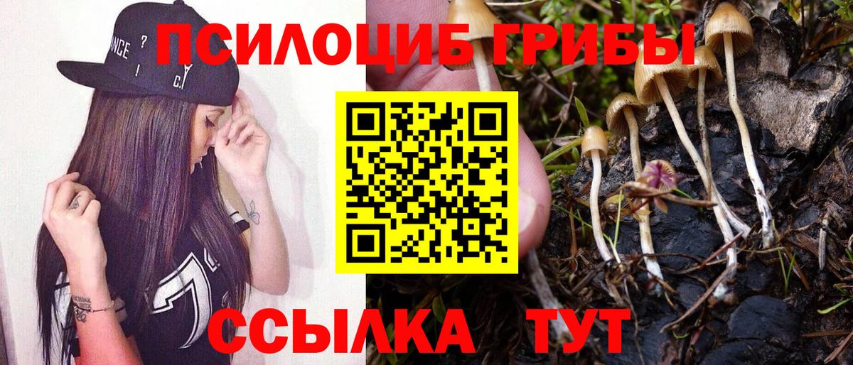 Галлюциногенные грибы ЛСД Кропоткин